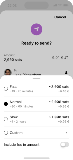 Screen showing fee options for an on-chain transaction